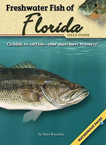 Stock image for Freshwater Fish of Florida Field Guide (Fish Identification Guides) for sale by A1AMedia