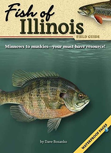 Beispielbild fr Fish of Illinois Field Guide zum Verkauf von Better World Books
