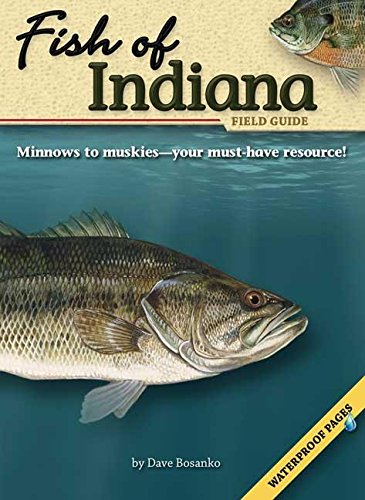Stock image for Fish of Indiana Field Guide (Fish Identification Guides) for sale by Byrd Books