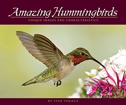 Beispielbild fr Amazing Hummingbirds: Unique Images and Characteristics (Wildlife Appreciation) zum Verkauf von SecondSale