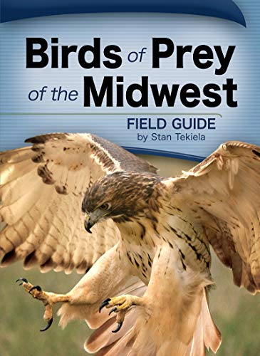 9781591932475: Birds of Prey of the Midwest Field Guide (Bird Identification Guides)