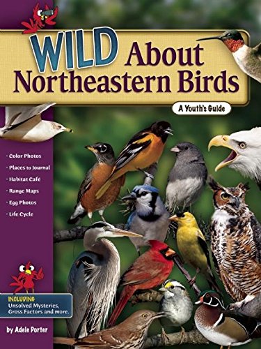Beispielbild fr Wild about Northeastern Birds : A Youth's Guide zum Verkauf von Better World Books