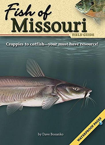 Stock image for Fish of Missouri Field Guide (Fish Identification Guides) for sale by 3rd St. Books