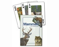 Beispielbild fr Mammals of the Midwest zum Verkauf von Russell Books