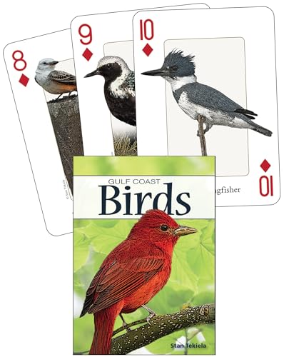 9781591933601: Birds of the Gulf Coast Playing Cards (Nature's Wild Cards)