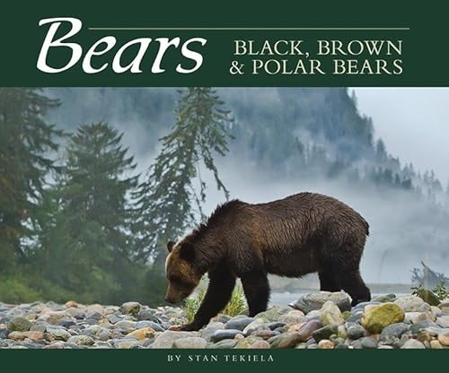 Bears: Black, Brown & Polar Bears