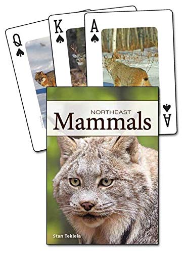 Beispielbild fr Mammals of the Northeast Playing Cards zum Verkauf von Russell Books