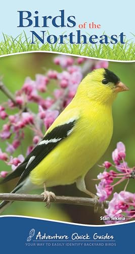 9781591934073: BIRDS OF THE NORTHEAST: Your Way to Easily Identify Backyard Birds (Adventure Quick Guides)