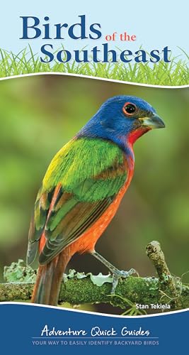 Stock image for Birds of the Southeast: Your Way to Easily Identify Backyard Birds (Adventure Quick Guides) for sale by BooksRun