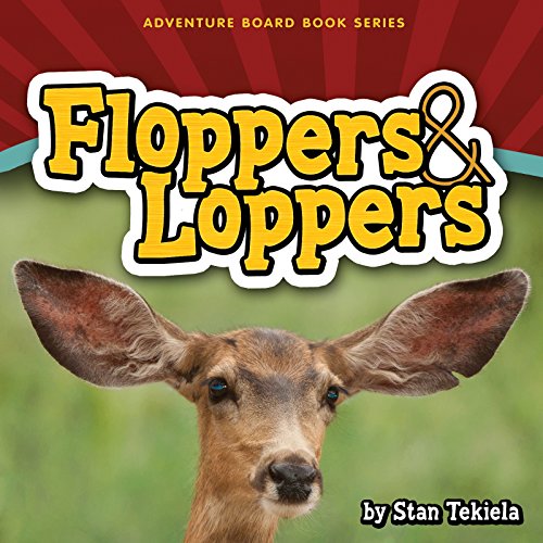 9781591934240: FLOPPERS & LOPPERS (Adventure Boardbook Series)