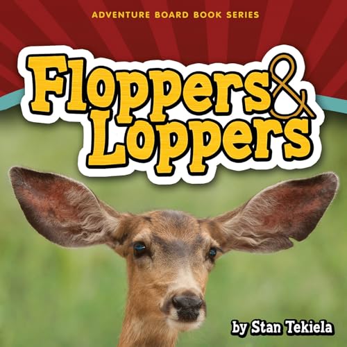 Imagen de archivo de Floppers & Loppers (Adventure Boardbook Series) a la venta por Gulf Coast Books