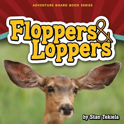 9781591934240: Floppers & Loppers (Adventure Boardbook Series)