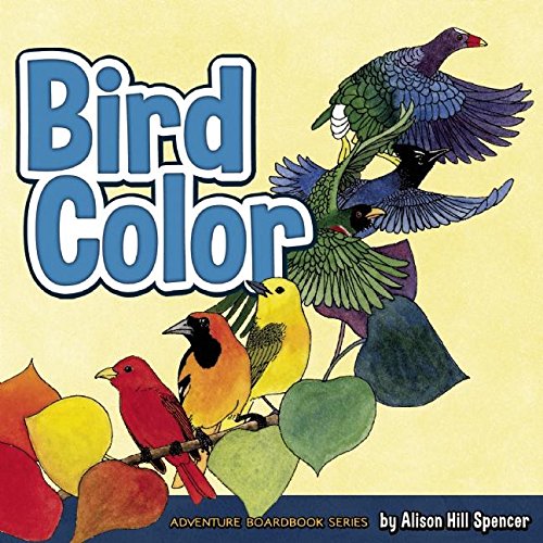 Imagen de archivo de Bird Color (Adventure Boardbook Series) a la venta por Gulf Coast Books