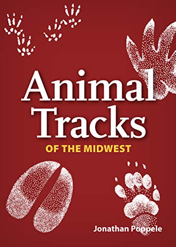 Stock image for Animal Tracks of the Midwest Playing Cards (Nature's Wild Cards) for sale by GF Books, Inc.