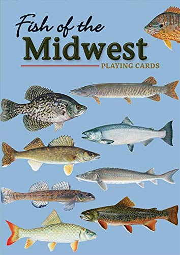 Stock image for Fish of the Midwest (Nature's Wild Cards) for sale by Book Deals