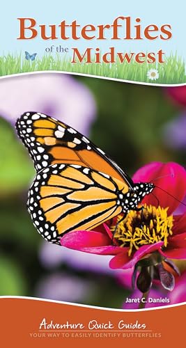 Stock image for Butterflies of the Midwest: Identify Butterflies with Ease (Adventure Quick Guides) for sale by HPB Inc.
