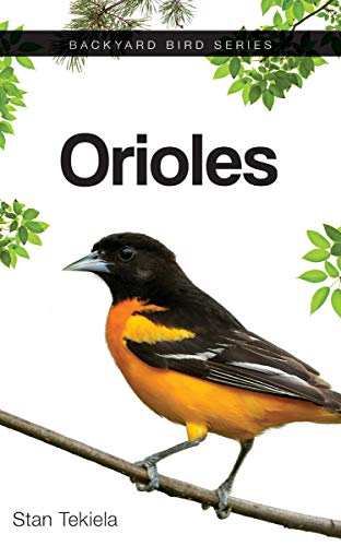 9781591935315: Orioles (Backyard Bird Series)