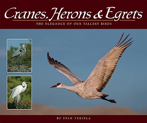 Beispielbild fr Cranes, Herons &amp; Egrets zum Verkauf von Blackwell's