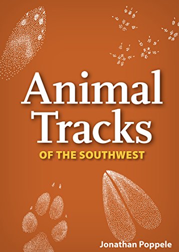 Stock image for Animal Tracks of the Southwest Format: Card Deck for sale by INDOO