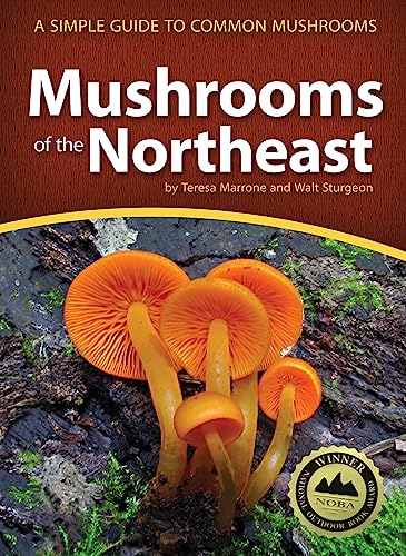 Beispielbild fr Mushrooms of the Northeast zum Verkauf von Blackwell's