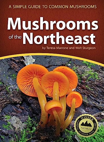 Stock image for Mushrooms of the Northeast Format: Paperback for sale by INDOO