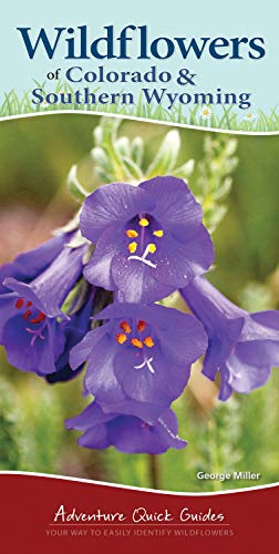 Beispielbild fr Wildflowers of Colorado & Southern Wyoming: Your Way to Easily Identify Wildflowers (Adventure Quick Guides) zum Verkauf von HPB-Emerald