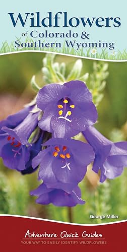 Stock image for Wildflowers of Colorado & Southern Wyoming: Your Way to Easily Identify Wildflowers (Adventure Quick Guides) for sale by Jenson Books Inc
