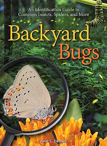 Stock image for Backyard Bugs : An Identification Guide to Common Insects, Spiders and More for sale by Better World Books