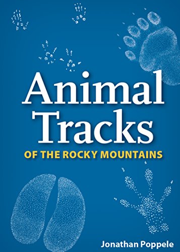 Stock image for Animal Tracks of the Rocky Mountains Playing Cards (Nature's Wild Cards) for sale by Save With Sam