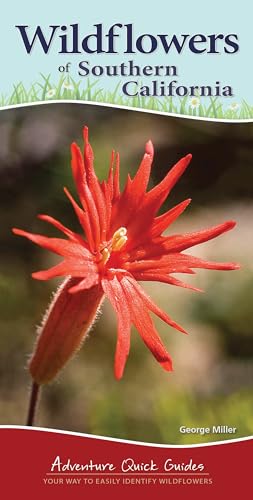 Imagen de archivo de Wildflowers of Southern California: Your Way to Easily Identify Wildflowers (Adventure Quick Guides) a la venta por HPB-Emerald