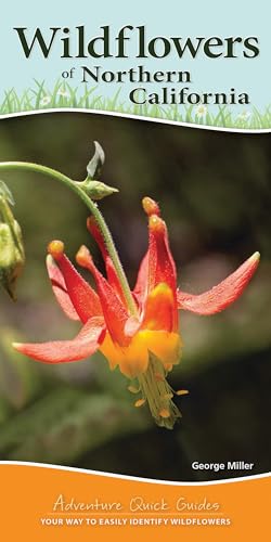 Imagen de archivo de Wildflowers of Northern California: Your Way to Easily Identify Wildflowers (Adventure Quick Guides) a la venta por GF Books, Inc.