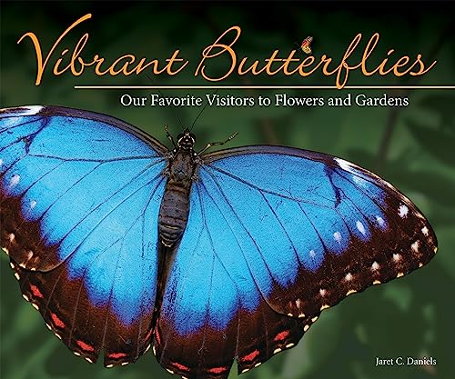 Stock image for Vibrant Butterflies: Our Favorite Visitors to Flowers and Gardens for sale by ThriftBooks-Atlanta