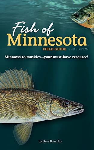 Stock image for FishofMinnesotaFieldGuide Format: Paperback for sale by INDOO