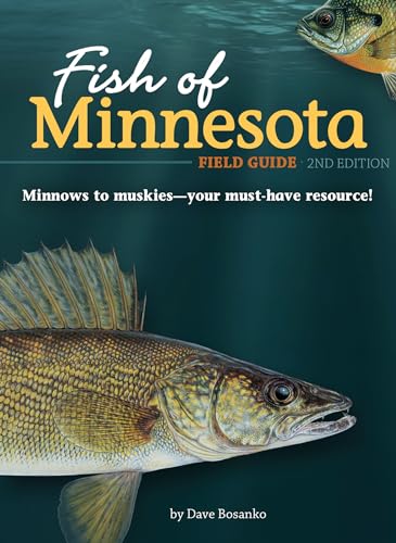 Stock image for Fish of Minnesota Field Guide (Fish Identification Guides) for sale by ZBK Books