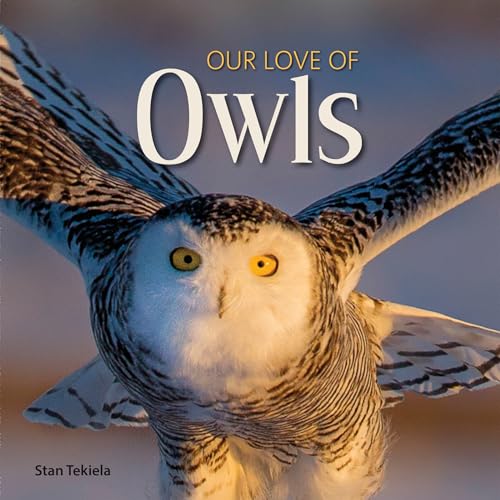 Beispielbild fr Our Love of Owls (Our Love of Wildlife) zum Verkauf von BooksRun