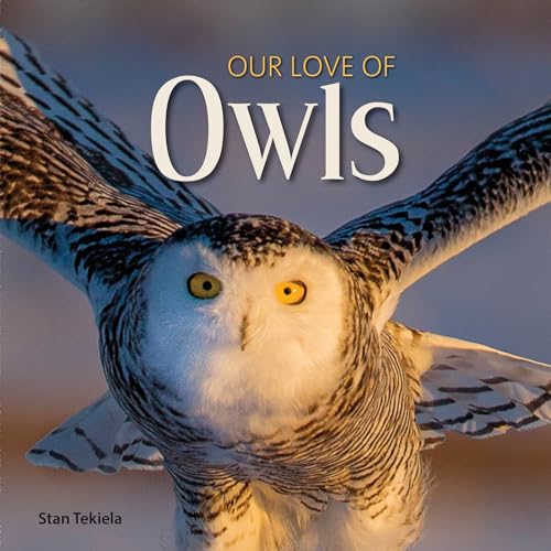 Stock image for Our Love of Owls (Our Love of Wildlife) for sale by BooksRun