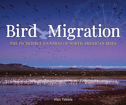 Beispielbild fr Bird Migration : The Incredible Journey of North American Birds zum Verkauf von Better World Books