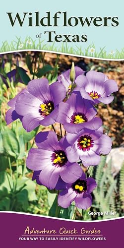 Stock image for Wildflowers of Texas: Your Way to Easily Identify Wildflowers (Adventure Quick Guides) for sale by Book Outpost