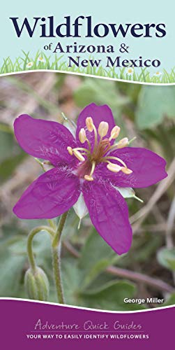 Beispielbild fr Wildflowers of Arizona New Mexico: Your Way to Easily Identify Wildflowers (Adventure Quick Guides) zum Verkauf von Coas Books