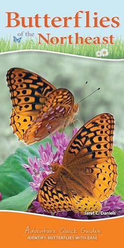 Stock image for Butterflies of the Northeast for sale by Better World Books: West