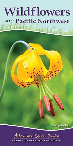 Stock image for Wildflowers of the Pacific Northwest: Your Way to Easily Identify Wildflowers (Adventure Quick Guides) for sale by Seattle Goodwill