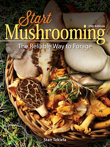 9781591938309: Start Mushrooming: The Reliable Way to Forage