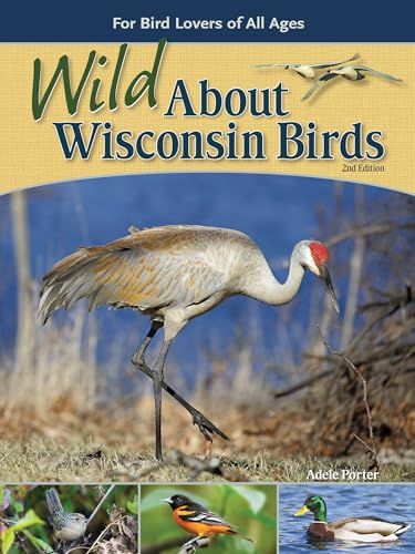 Beispielbild fr Wild about Wisconsin Birds: For Bird Lovers of All Ages zum Verkauf von Buchpark