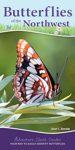 Stock image for Butterflies of the Northwest: Your Way to Easily Identify Butterflies (Adventure Quick Guides) for sale by GF Books, Inc.