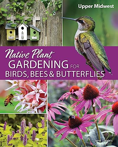 Stock image for NATIVE PLANT GARDENING FOR BIRDS for sale by Books-FYI, Inc.