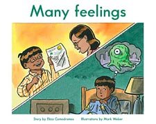 Beispielbild fr Many Feelings - The King School Series, Late First Grade / Early Fluent, Level 11 (6-pack) (The King School Series, First Grade Collection) zum Verkauf von BooksRun