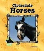 9781591973065: Clydesdale Horses