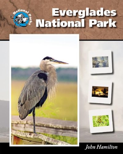 Imagen de archivo de Everglades National Park a la venta por Better World Books