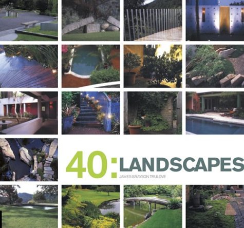 Beispielbild fr 40: Landscapes zum Verkauf von Wonder Book