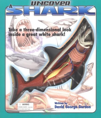 9781592231157: Uncover A Shark (Uncover Series)